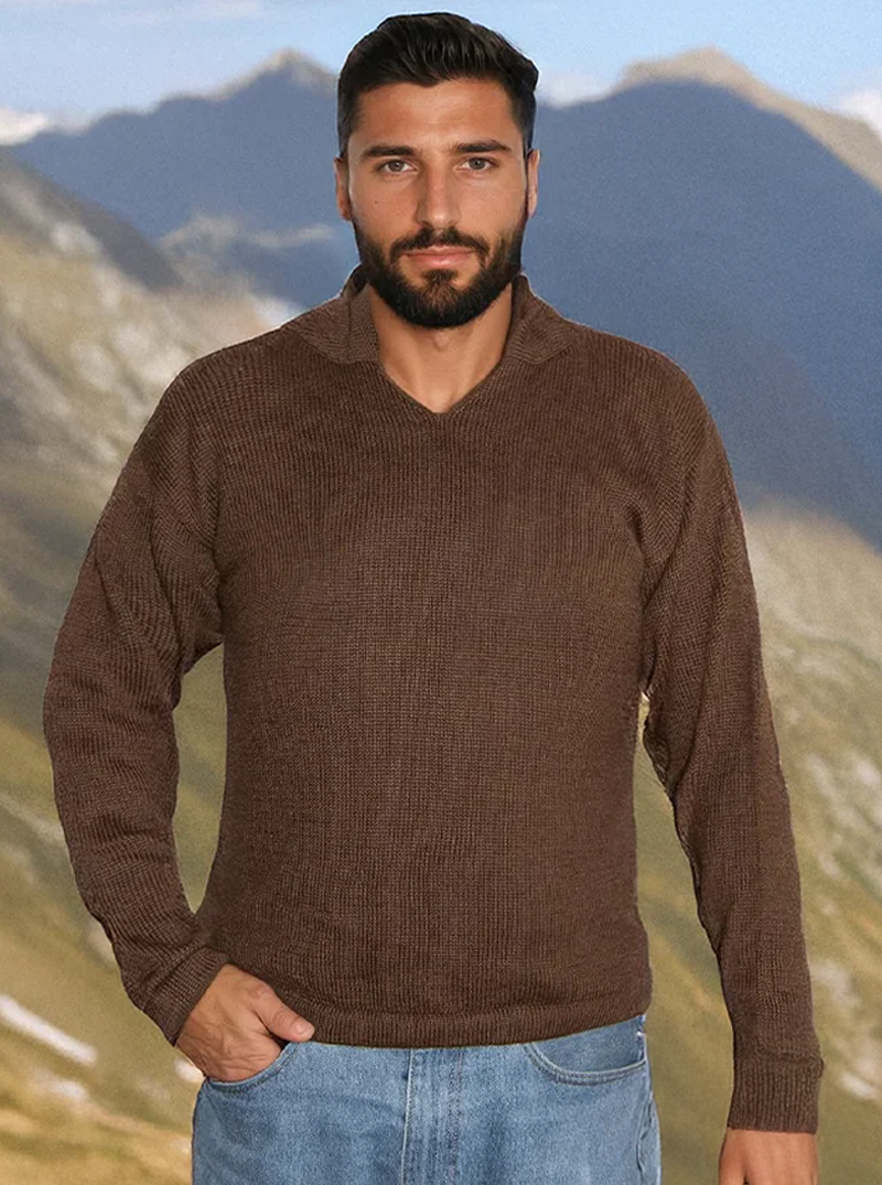 Gamboa Alpaca Hoodie for Men | Chocolate