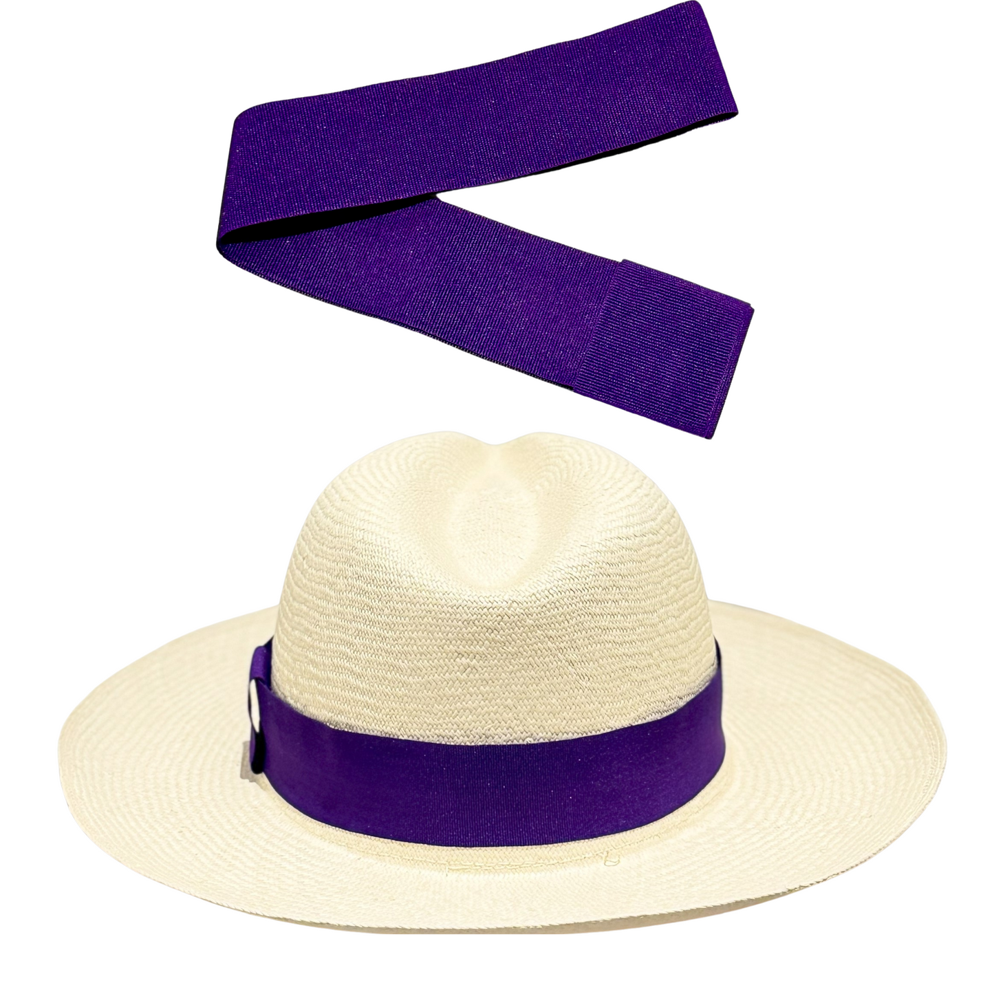 Standard Hat Band - Purple