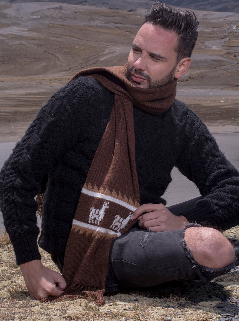 Sciarpa in alpaca marrone Con lama