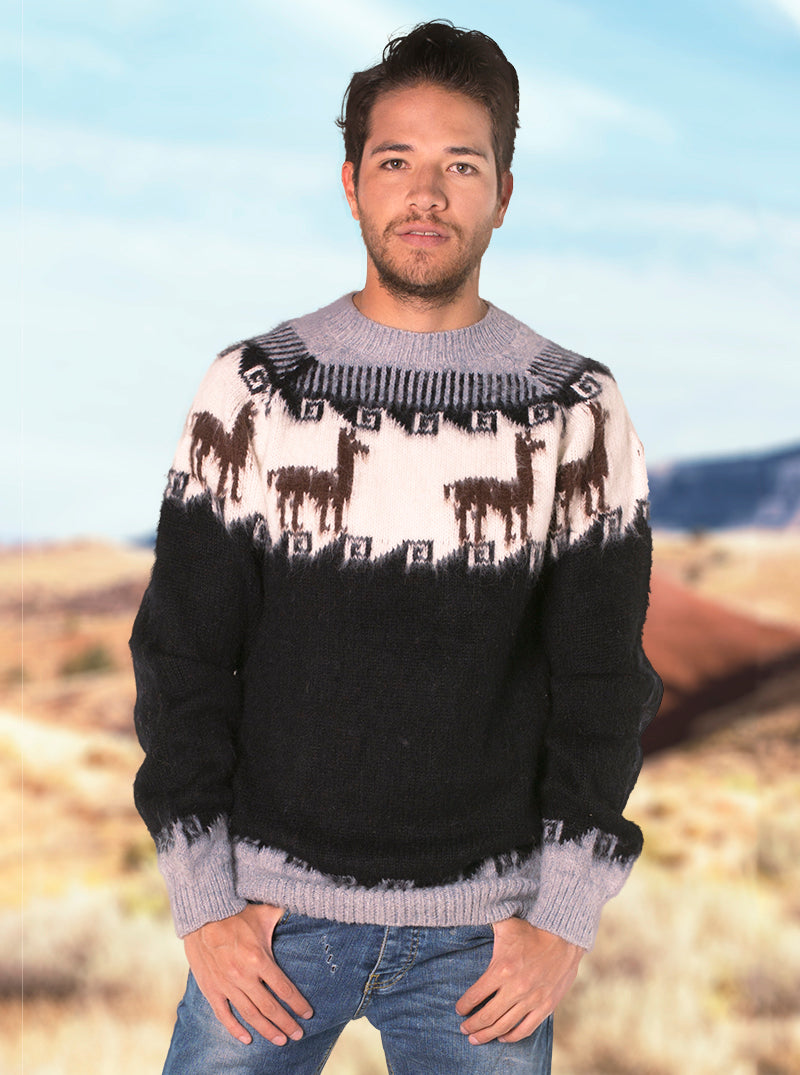 Andean Crewneck Alpaca Sweater for Men