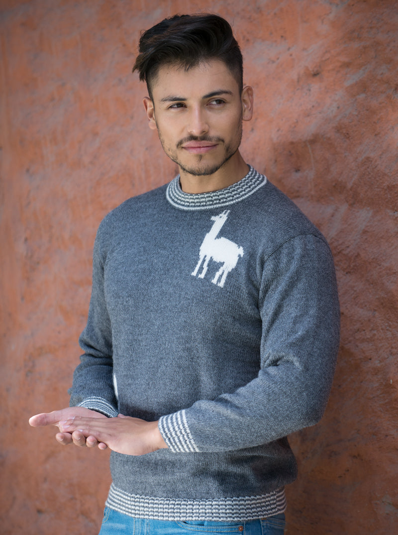 Gray Crewneck Alpaca Sweater for Men